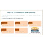 Xtreme Mass Gainer With Added DigeZyme - Image 4