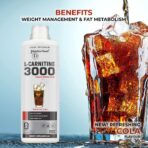 Liquid L-Carnitine 3000, Triple Strength - Image 4
